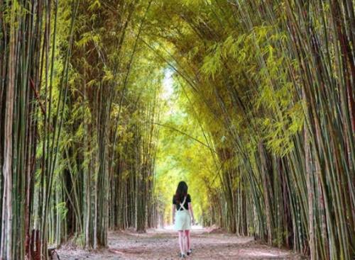 10 Wisata Alam yang Sejuk dan Asri Dekat Jakarta. (FOTO: MNC MEDIA)