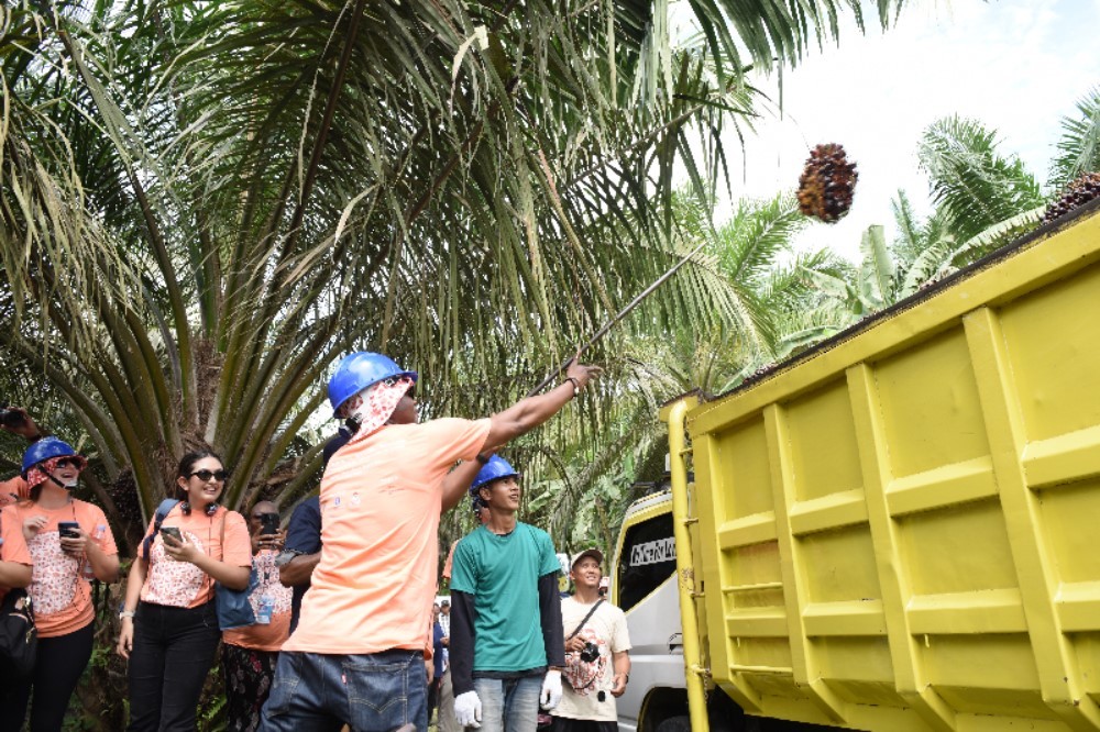 17 Countries Study Sustainable Palm Oil Practices in Indonesia. (Foto: Kemlu)