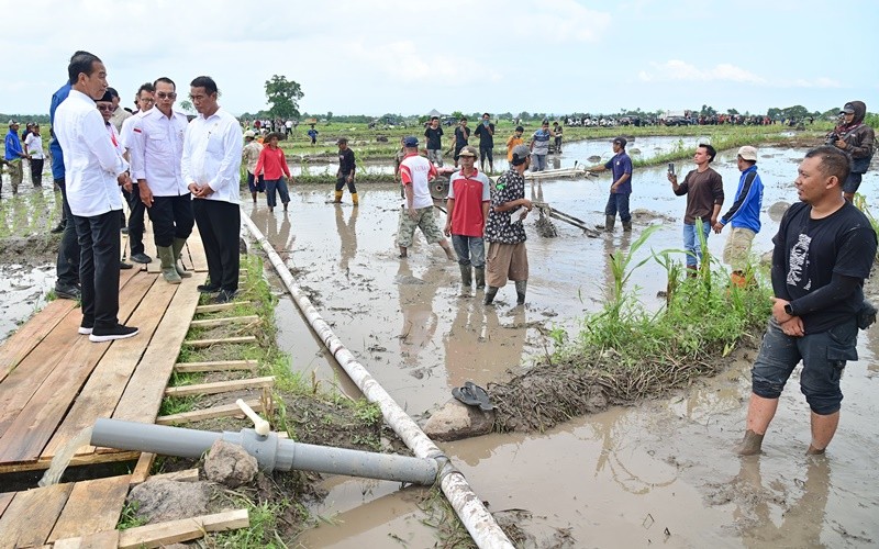 Sektor pertanian diproyeksi turut menyumbang pertumbuhan ekonomi di IKN, Kaltim. (MNC Media)