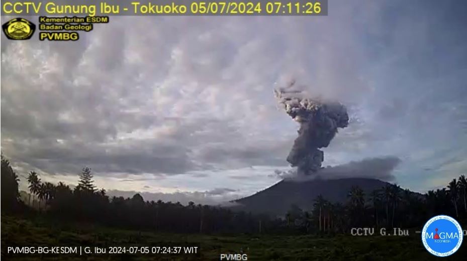 Gunung Ibu Erupsi Dua Kali Siang Ini, Semburkan Abu Vulkanik 3 Km. (Foto: MNC Media)