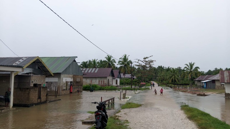 Tiga Kabupaten di Sulawesi Tenggara Banjir, BNPB: Ribuan Jiwa Terdampak. (Foto: Dok. BNPB)