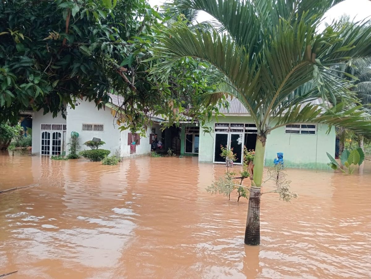 Banjir Rendam Seluma Bengkulu, 124 KK Terdampak. (Foto: Dok. BNPB)