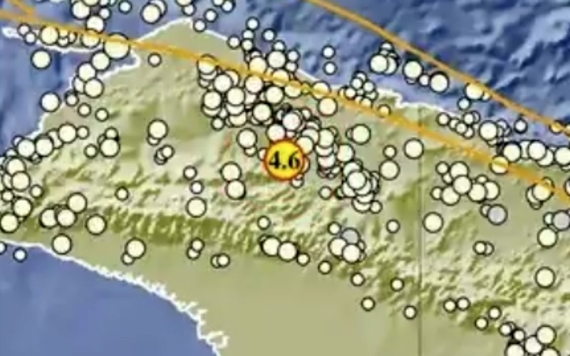 Gempa berkekuatan Magnitudo 4,6 mengguncang Yalimo, Papua. (BMKG)