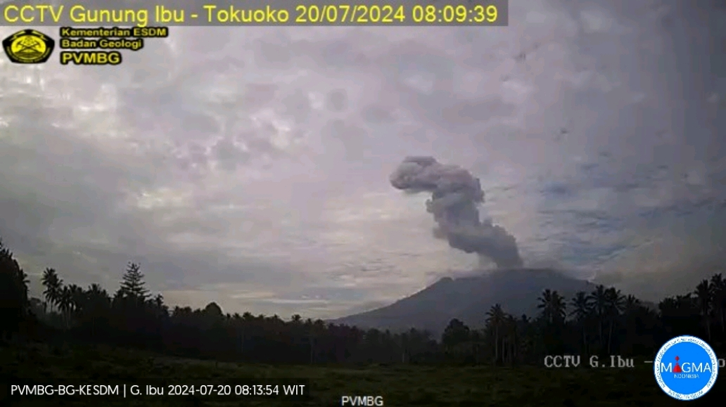 Gunung Ibu di Halmahera Barat Kembali Erupsi Hari Ini. (Foto: MNC Media)