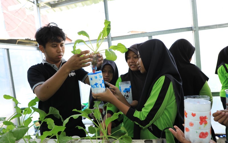 Peringati Hari Anak Nasional, BRI Ajak Anak SD Belajar Tanam Hidroponik. (Foto: Ist)