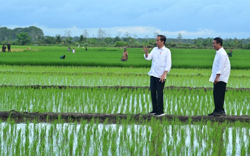 Mentan Dorong Merauke Jadi Lumbung Pangan Indonesia Timur. (Foto: Ist)