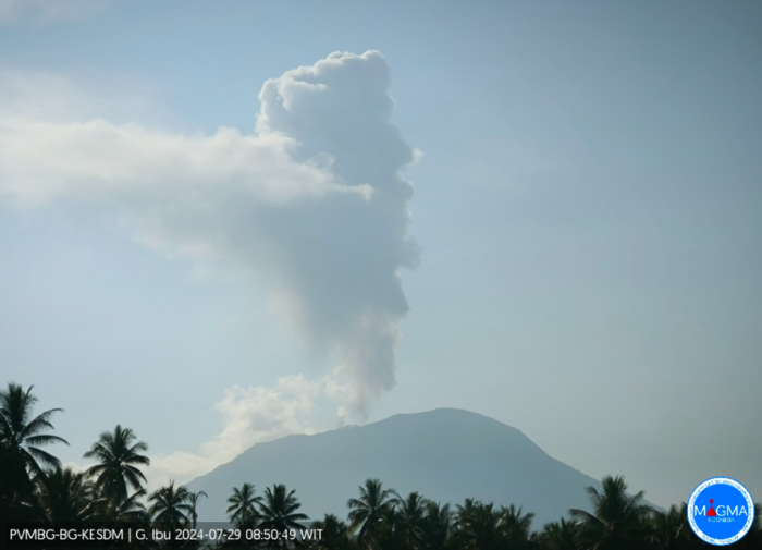 Gunung Ibu Erupsi Pagi Ini, Luncurkan Abu Vulkanik 1.500 Meter. (Foto: MNC Media)