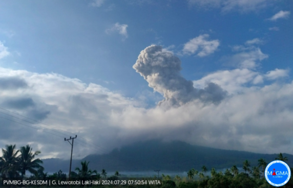 Gunung Lewotobi Laki-laki Erupsi, Keluarkan Abu Vulkanik 1.000 Meter. (Foto: MNC Media)