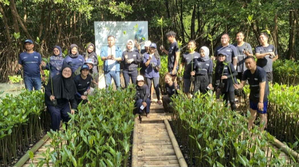 Tekan Bencana di Pesisir, PNM Peduli Tanam 50.000 Pohon Mangrove  (FOTO:PNM)