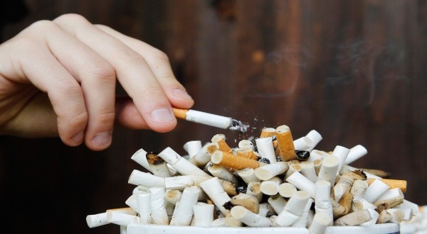 Apakah Rokok Menguntungkan Negara? Begini Penjelasan Lengkapnya. (Foto: MNC Media)