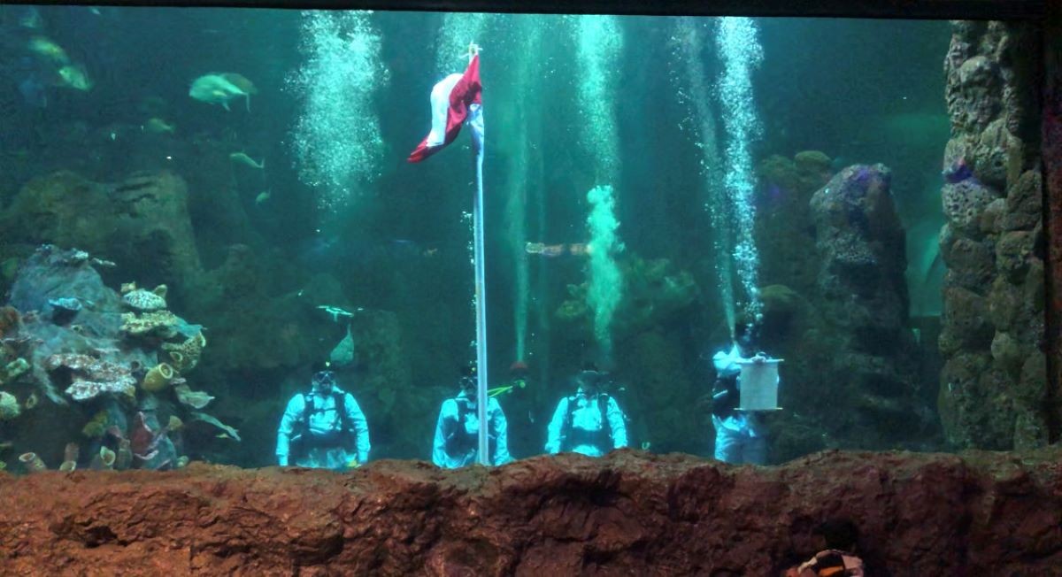 Ancol Gelar Upacara HUT Ke-79 RI di Akuarium Bawah Laut Sea World, Pengunjung Antusias. (Foto: Wiwie/MNC Media)