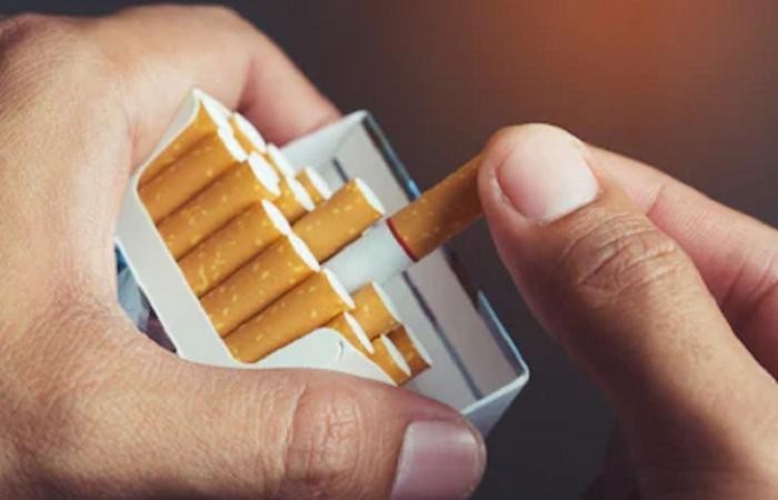 Kinerja emiten di sektor tembakau alias rokok pada enam bulan pertama tahun 2024 di bawah ekspektasi. (Foto: MNC Media)
