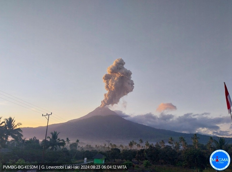 Gunung Lewotobi Laki-laki Kembali Erupsi, Letusan Abu Vulkanik Setinggi 1 Km (foto pvmbg)