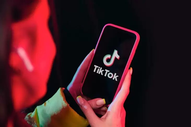  TikTok)