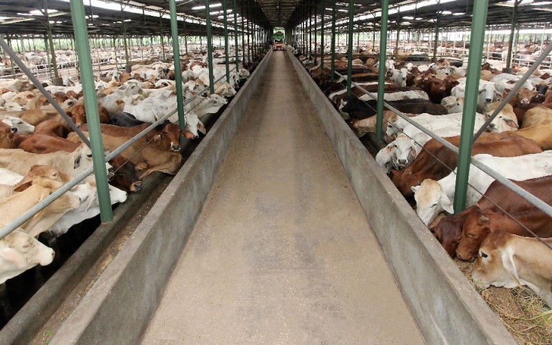 WMPP digugat vendor CV Cipta Jaya Manis karena tak membayar utang yang telah jatuh tempo sebesar Rp3 miliar. (Foto: Dok Widodo Makmur)