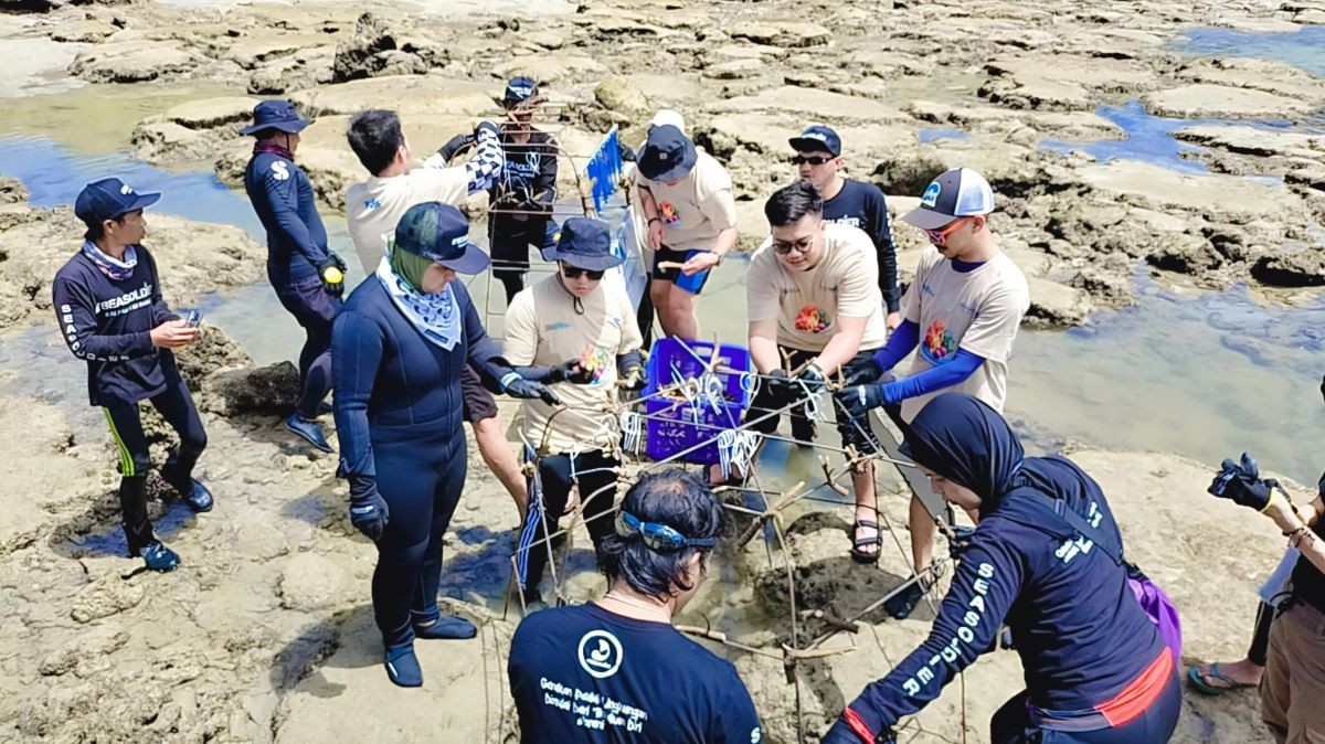 PNM Peduli Tanam Ribuan Pohon Mangrove dan Terumbu Karang di Kalimantan. (Foto: MNC Media)