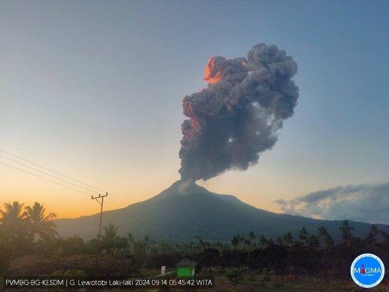 Gunung Lewotobi Laki-Laki Meletus Lagi, Kolom Abu Capai 1.000 Meter