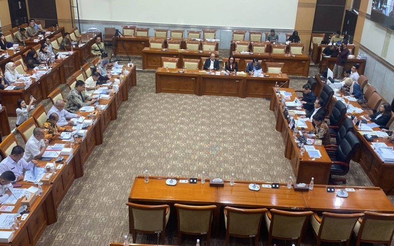 Komisi III DPR menyetujui pemberian status kewarganegaraan kepada dua pemain sepak bola keturunan Indonesia, Mees Hilgers dan Eliano Reijnders.