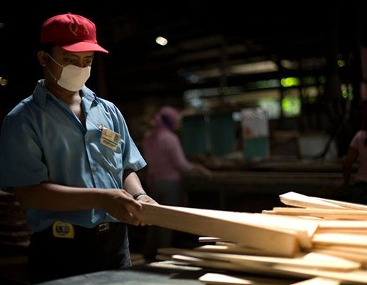 Dukung Energi Bersih, Anak Usaha DSNG Segera Operasikan Pabrik Wood Pallet (Foto: dok DSNG)