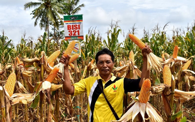 PT BISI International Tbk (BISI) lewat Dewan Komisaris memberhentikan Andy Gumala dari jabatannya sebagai direktur. (Foto: Dok. BISI)