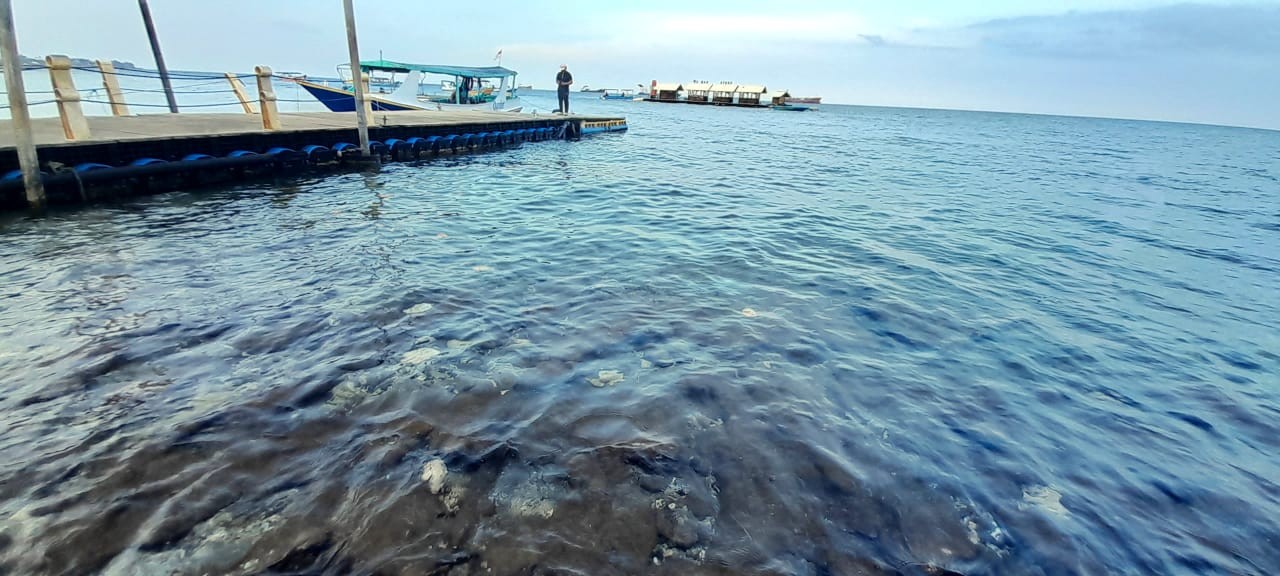 5 Rekomendasi Pantai di Banyuwangi. (Foto: Nadya Kurnia/IDX Channel)