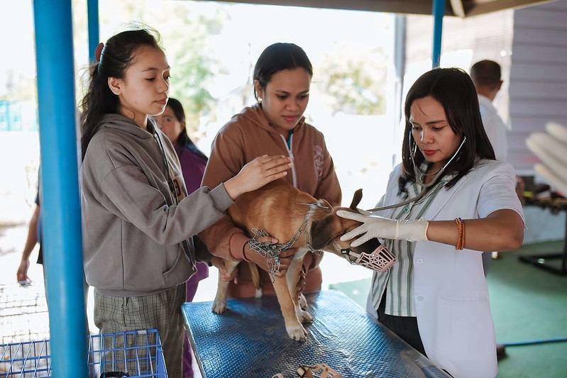 Indonesia and Australia Cooperate to Contain Rabies Outbreaks. (Foto: Australian Embassy Jakarta)