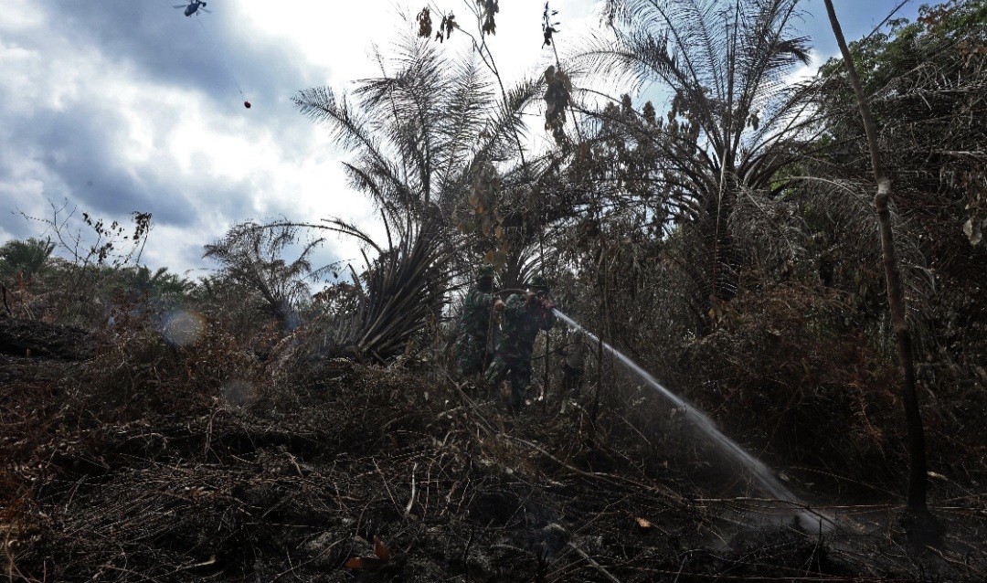 BNPB Laporkan Ada 289 Bencana Karhutla Sejak Januari-September 2024   (FOTO:MNC Media)