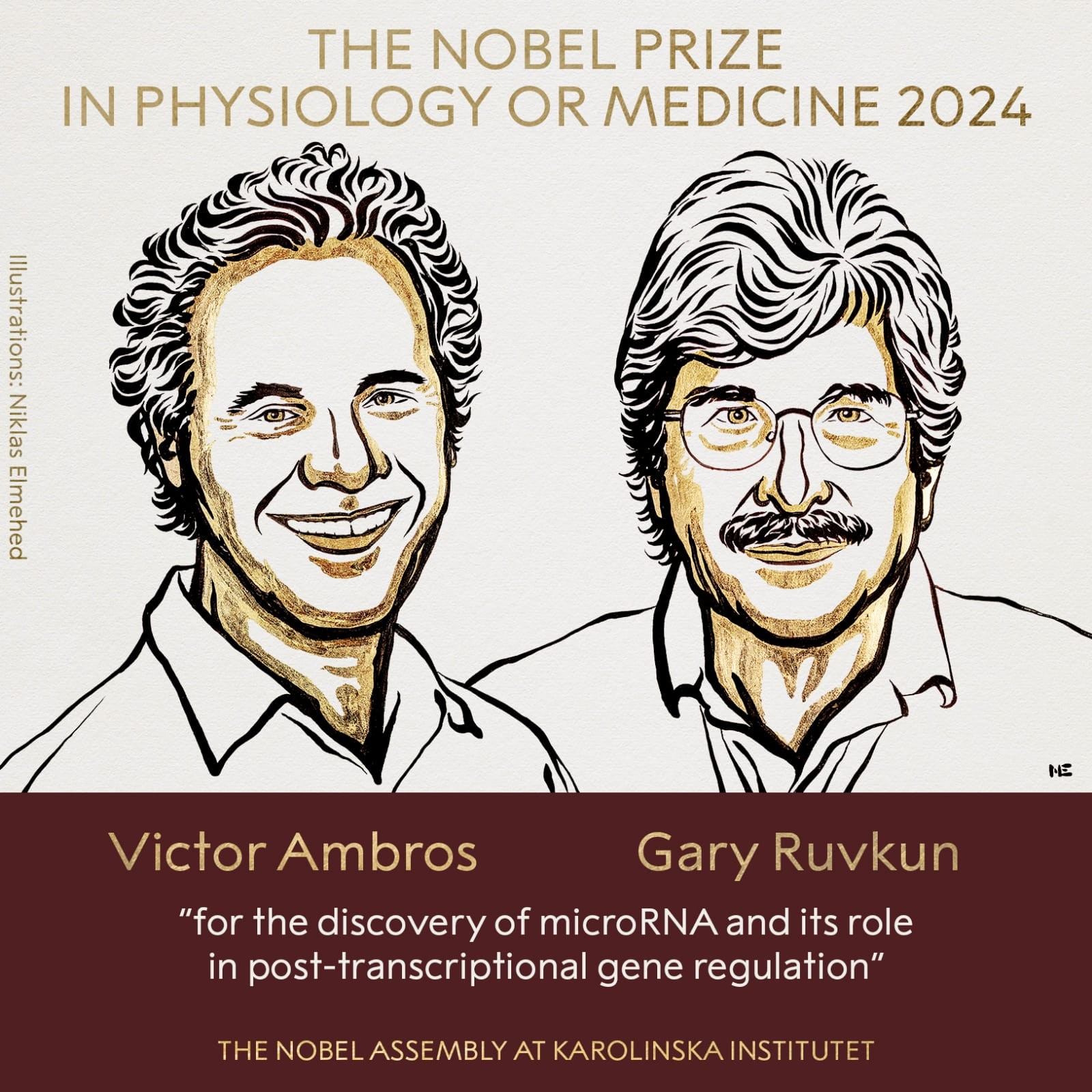 Peneliti MicroRNA Victor Ambros dan Gary Ruvkun Terima Nobel Kedokteran 2024. (Foto: X/@Nobel Prize)