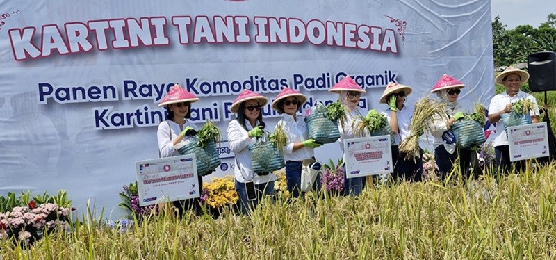 Penyaluran Pupuk Subsidi Ditarget 9,55 Juta Ton di 2024, Berapa Realisasinya? (foto suparjo)