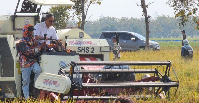 Kualitas Bibit Padi Disebut Jadi Tantangan RI Capai Swasembada Pangan (foto iqbal)