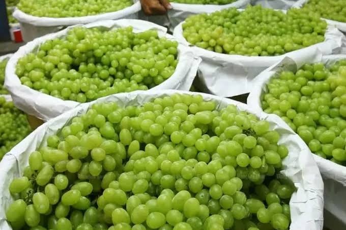 Bapanas Uji Residu Anggur Shine Muscat: Tidak Ada Senyawa Berbahaya (FOTO:MNC Media)