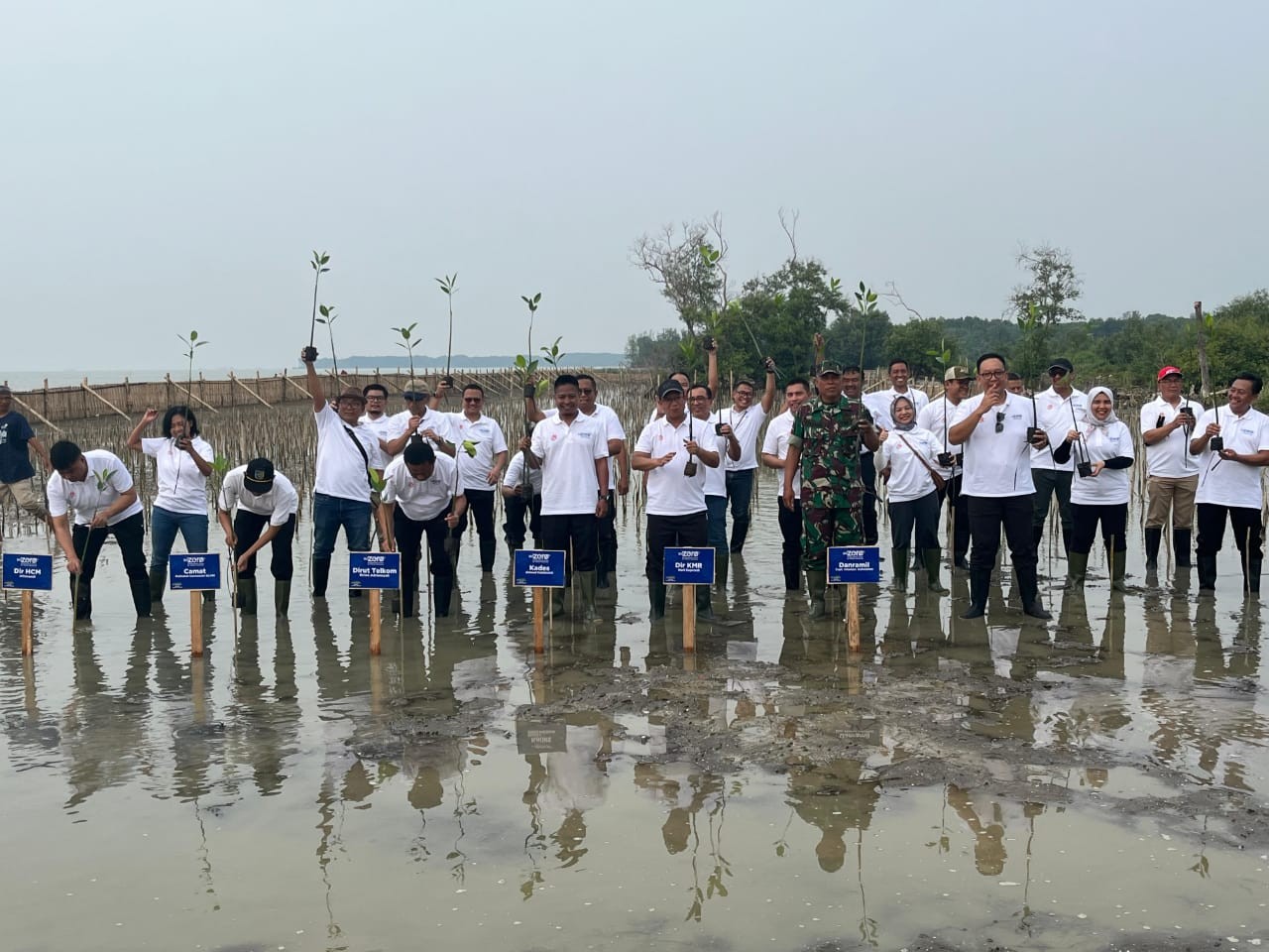 Penanaman 10.000 bibit mangrove program GoZero Telkom di Kawasan Pantai Glagah Wangi Istambul, Kabupaten Demak, Jawa Tengah, Jumat (15/11/2024). (Foto: Ist.)