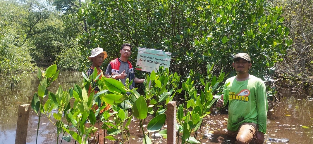 Pertamina Tanam 3.750 Mangrove di Suaka Margasatwa Pulau Rambut. (Foto Pertamina)