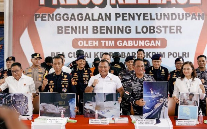 Bareskrim Polri menggagalkan upaya penyelundupan 151.000 benih bening lobster di Bintan.