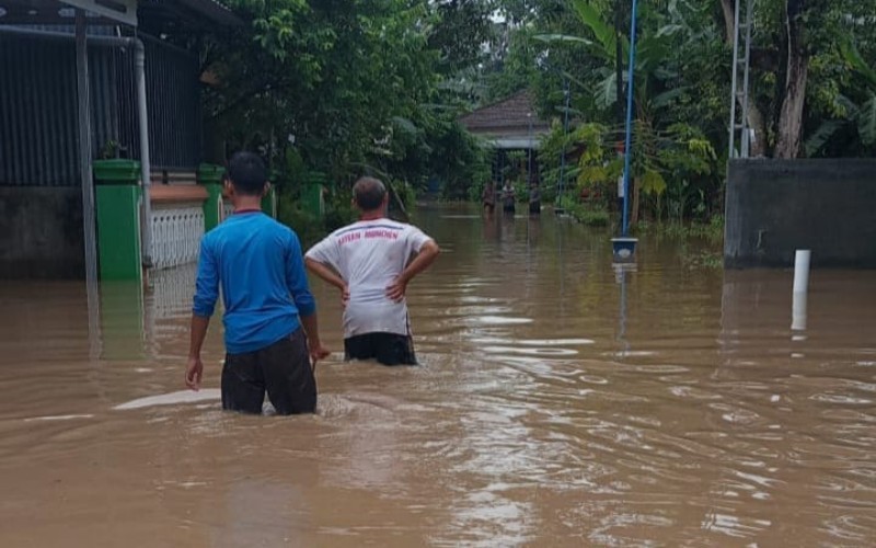 Banjir menerjang wilayah Jember, Jawa Timur. Akibatnya, ratusan rumah terendam hingga ada mobil yang terseret arus banjir.