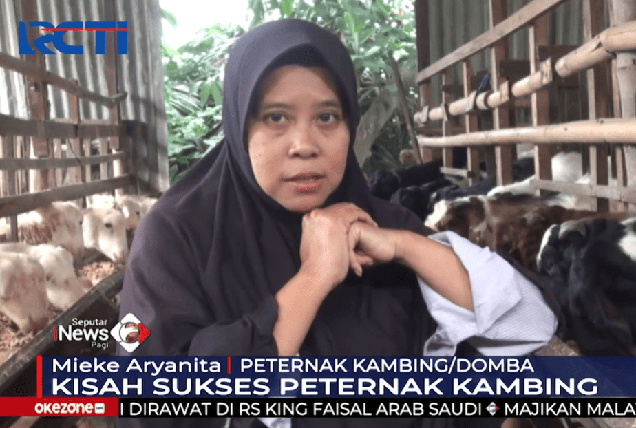 Kisah Sukses Mantan Penjual Koran Jadi Peternak, Omzet Tembus Ratusan Juta. (Foto: RCTI Seputar iNews)