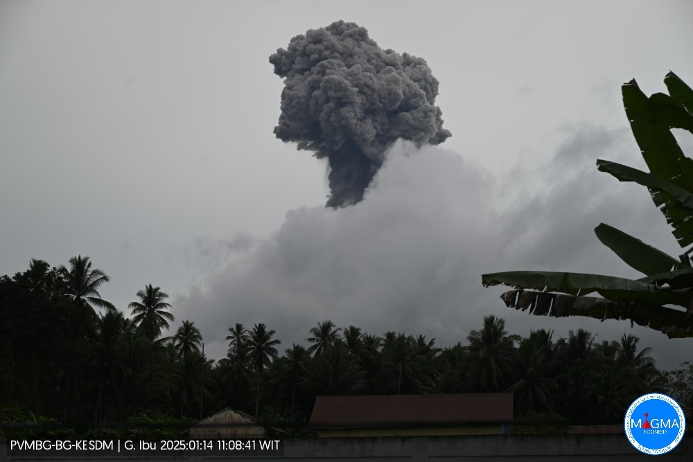 Gunung Ibu Dua Kali Erupsi Dahsyat, Semburkan Abu Vulkanik hingga 3 Km. (Foto: MNC Media)