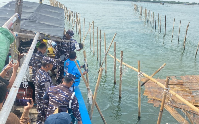 Pembongkaran pagar laut ilegal di Tangerang, Banten terus dilanjutkan (Riana Rizkia/MPI)