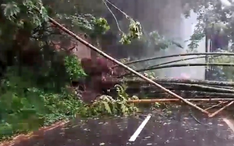 Longsor terjadi di beberapa titik di Kabupaten Malang. Bahkan, material longsor sempat menutup jalan raya provinsi.