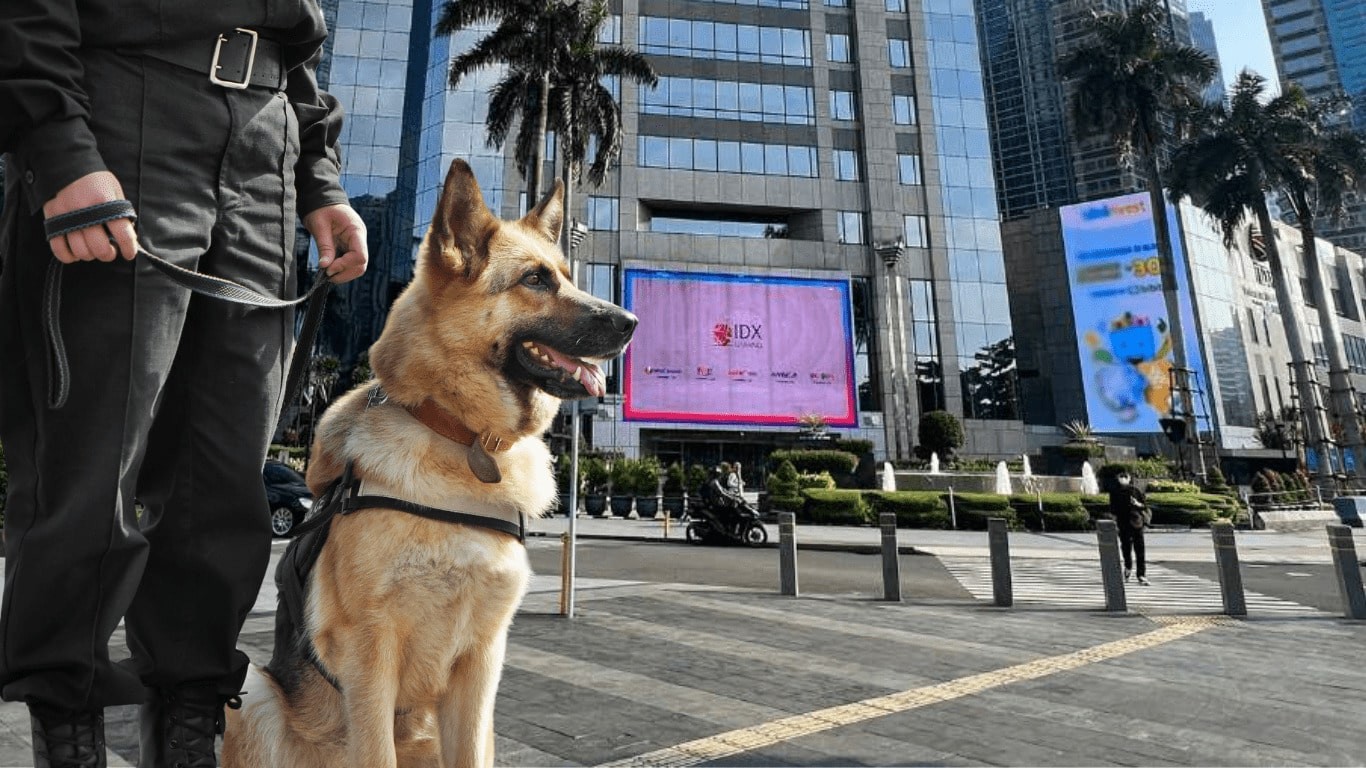 Kalahkan UMR? Segini Besaran Gaji Anjing K9 di SCBD. (Foto: Besaran Gaji Anjing K9 di SCBD)