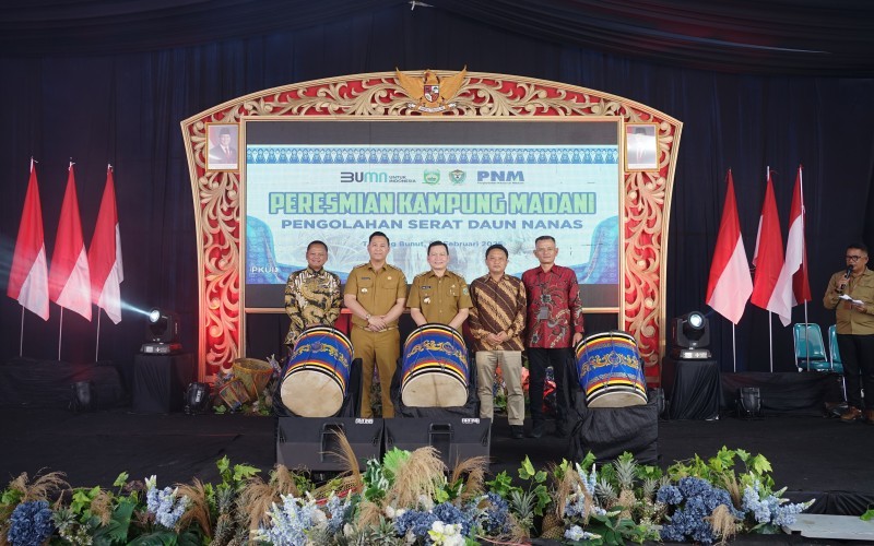 Kampung Madani PNM Hadir di Desa Tanjung Bunut, Warga Dibina Olah Nanas untuk Usaha (PNM)