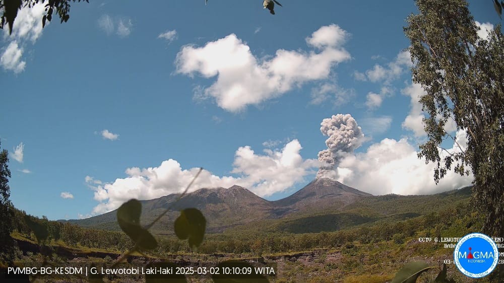 Gunung Lewotobi Laki-Laki Erupsi Lagi, Dilarang Beraktivitas dalam Radius 5 Km. (Foto: Dok. PVMBG)