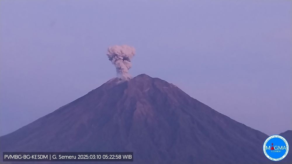 Gunung Semeru Erupsi, Luncurkan Abu Vulkanik 1.000 Meter. (Foto: Dok. PVMBG)