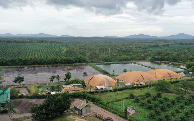 First Resources melalui anak perusahaan, PT Ciliandra Perkasa (CP) resmi mengakuisisi pengendali ANJT senilai Rp5,4 triliun. (Foto: Dok. ANJT)
