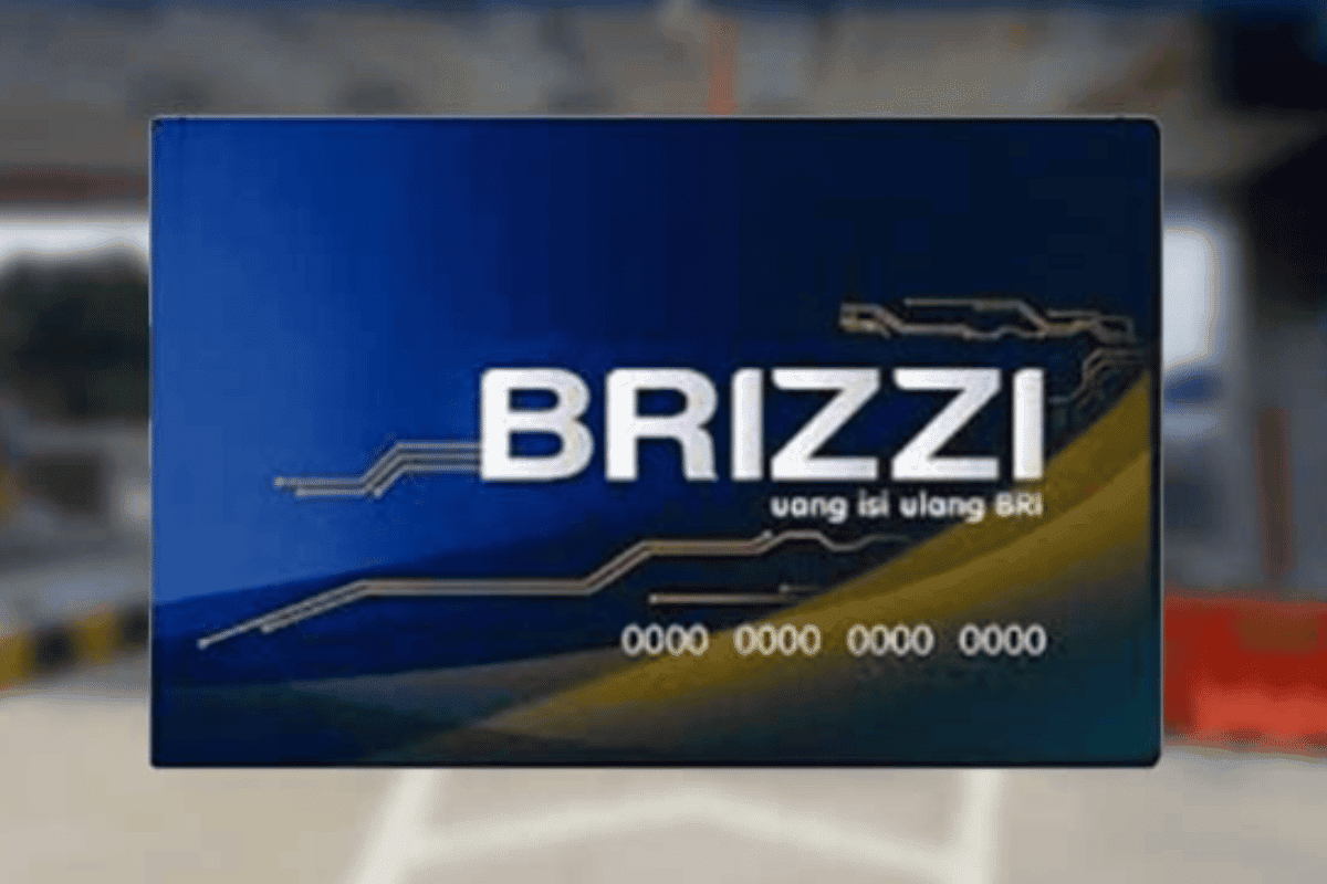 Mudah dan Praktis, Begini Cara Cek Saldo BRIZZI Lewat DANA. (Foto: Cara Cek Saldo BRIZZI Lewat DANA)