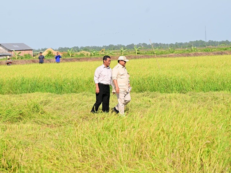 Prabowo Minta BUMN dan TNI-Polri Bangun Gudang Penyimpanan Beras (foto BPMI Setpres/Rusman)