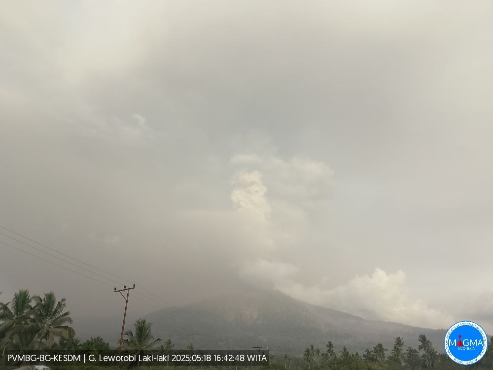 Gunung Lewotobi Laki-Laki Kembali Erupsi, Tinggi Kolom Letusan Capai 2.000 Meter. (Foto: Inews Media Group)