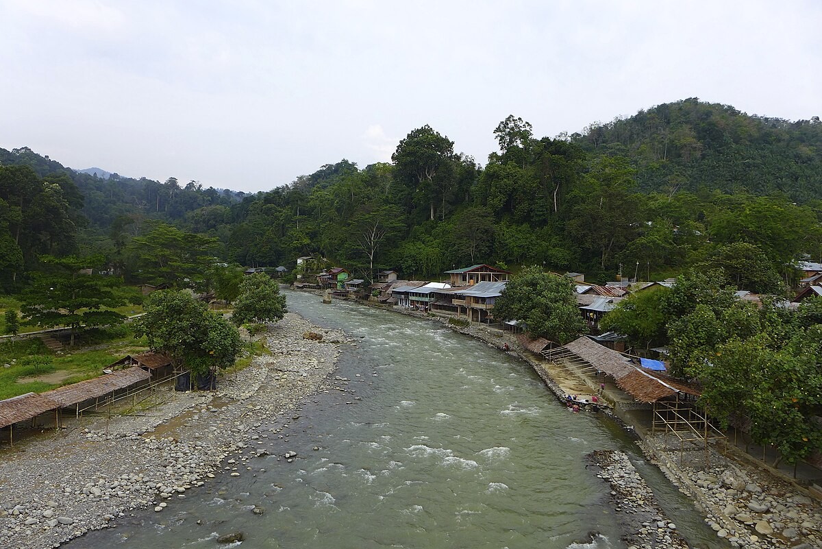  Bukit Lawang/Wikipedia)