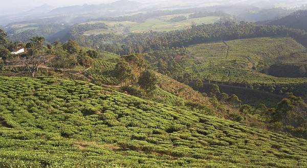 6 Tempat Wisata di Ngawi yang Lagi Hits, Patut Dikunjungi. (Foto: iNews Media Group)