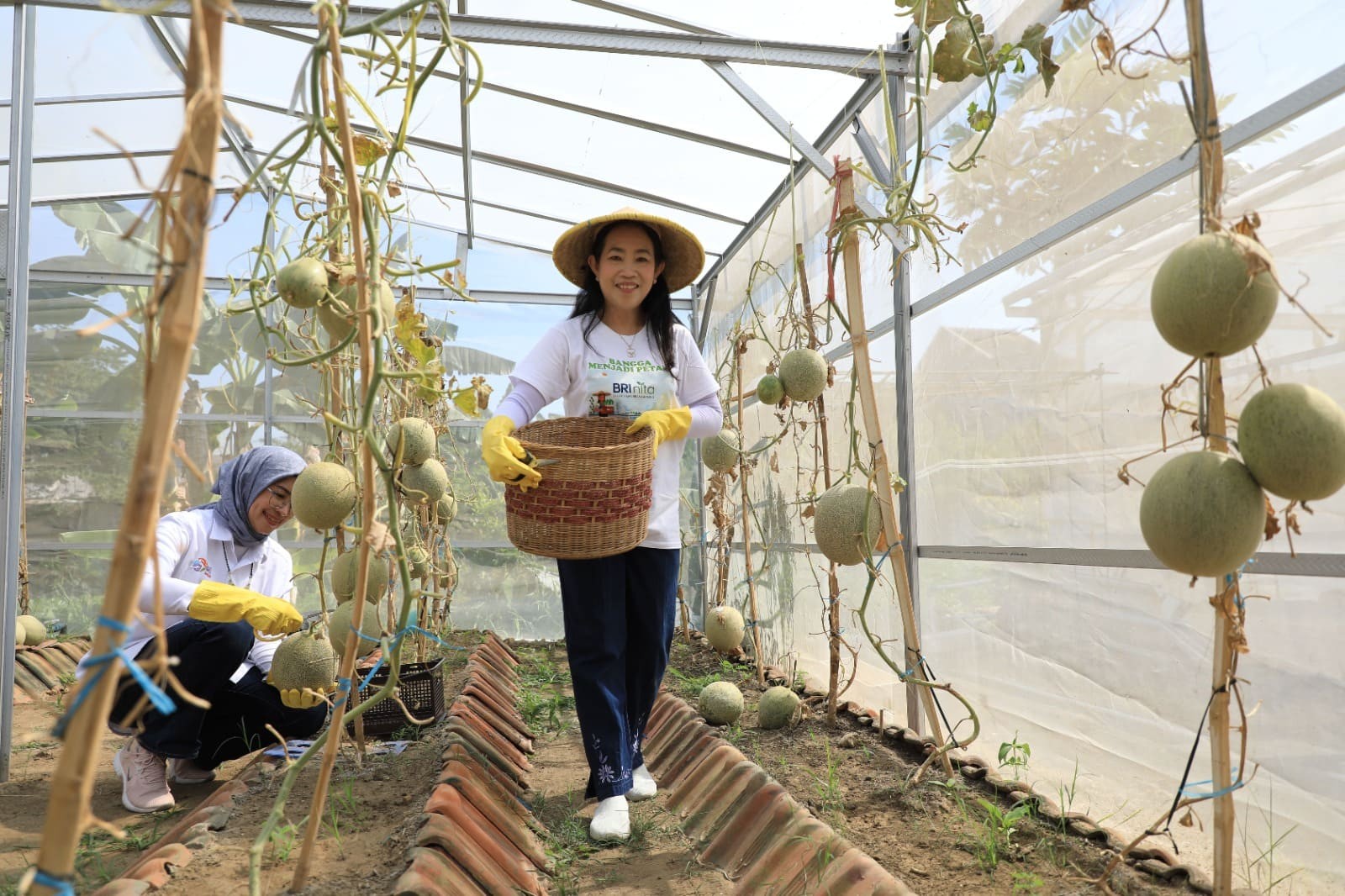 Apa Saja Program CSR BRI? Mengenal BRI Peduli dan 3 Pilar Utamanya. (Foto: BRI Peduli)